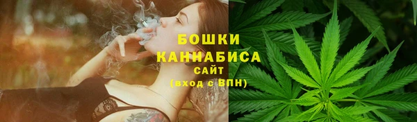 спайс Касимов