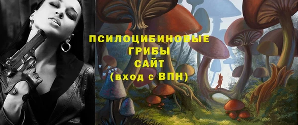 спайс Касимов