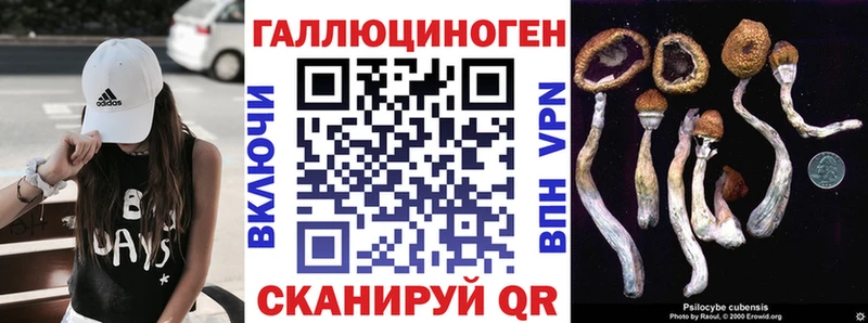 Галлюциногенные грибы GOLDEN TEACHER  Купить где  Кувандык 